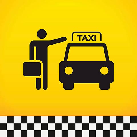 Taxixanthis